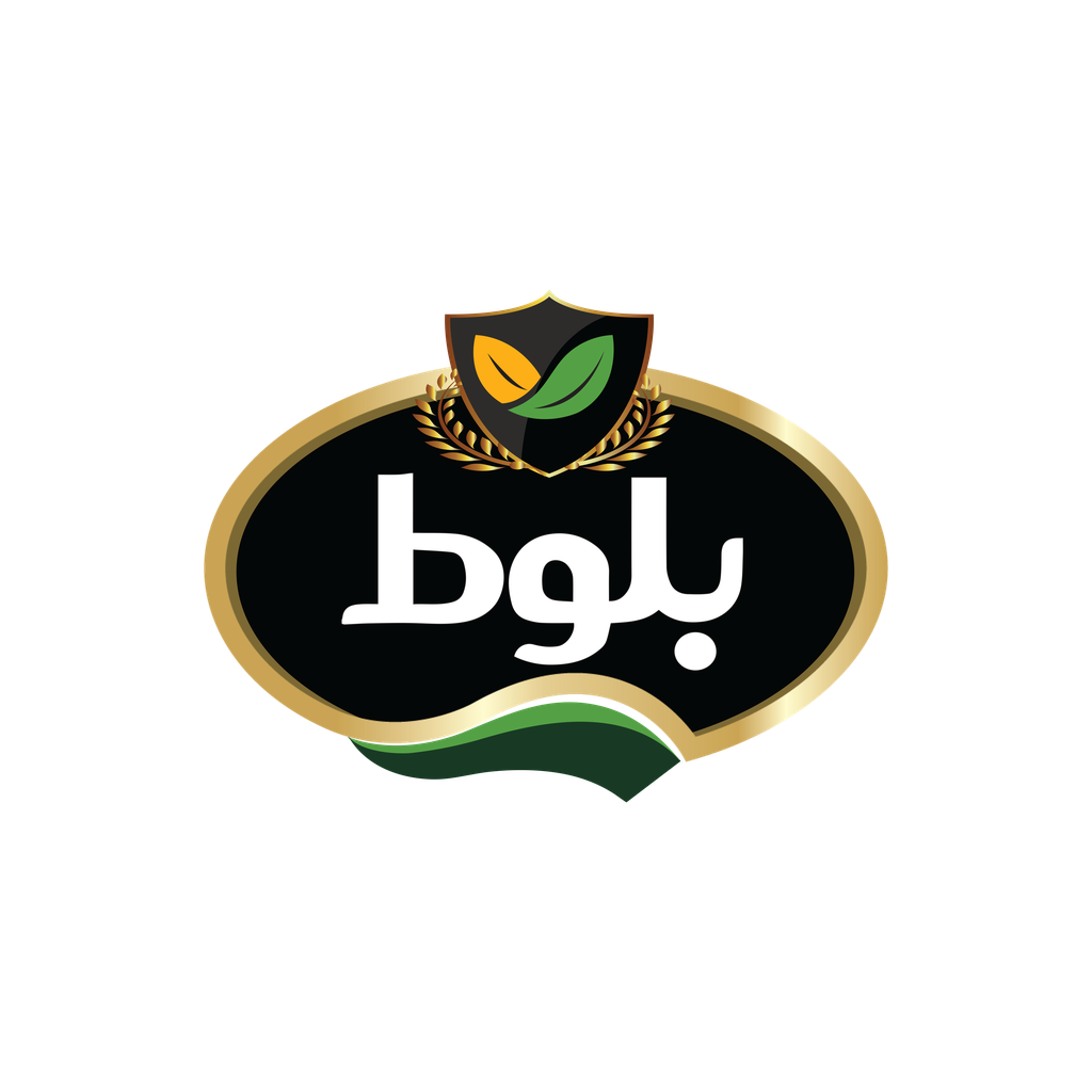 بلوط